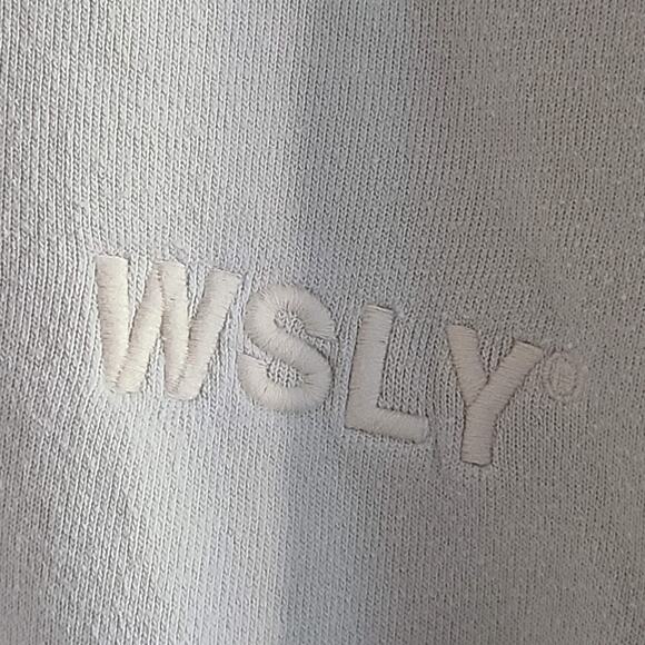 WSLY The Ecosoft Oversized Sage Tie Dyed Hoodie Sweatshirt BW202012 Womens Small - Picture 3 of 10